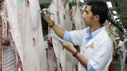 A Vissan worker checking pork (Source: VNA)