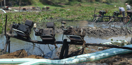 Kinh Trần Văn Dõng, đoạn qua xã Tân Điền (huyện Gò Công Đông)  gần như cạn khô, người dân phải dùng bạt ngăn giữa đoạn kinh để tích nước.
