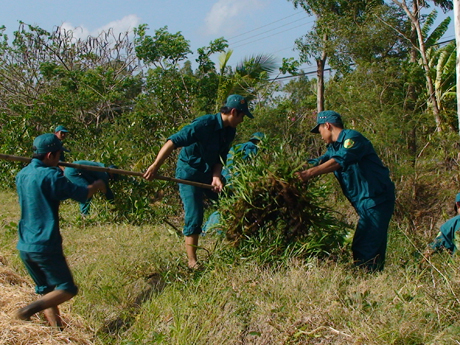 Lực lượng vũ trang huyện Gò Công Tây hăng hái tham gia phát quang bụi rậm, khai thông dòng chảy ở nhiều tuyến đường, kinh trên địa bàn huyện.