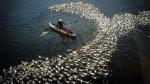 Photo exhibition in Ho Chi Minh city celebrates Reunification Day