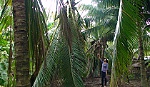 Tuyên án vụ 