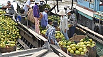 Less Mekong Delta fruit, higher prices