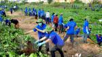 Nationwide activities to respond to World Environment Day