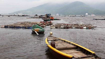 A fish farm in Da Nang (Photo: VNA)