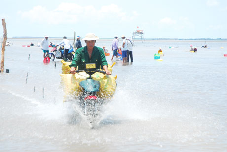 Vận chuyển nghêu vào bờ.