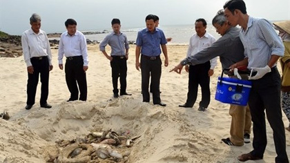 A team from central Quang Tri Province’s administration inspects the dead fish. (Photo: VNA)