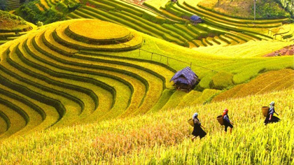 Sa Pa is home to many hill tribes and rice terraces (Photo: kay.vn)