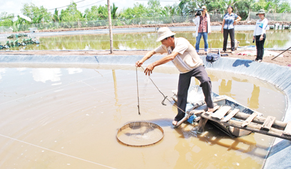  Thu hoạch tôm nuôi quảng canh tại xã Phú Đông.