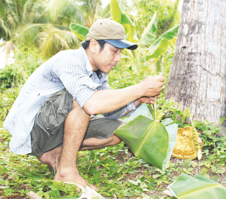 Bọc lá chuối để mật ong không chảy ra ngoài.