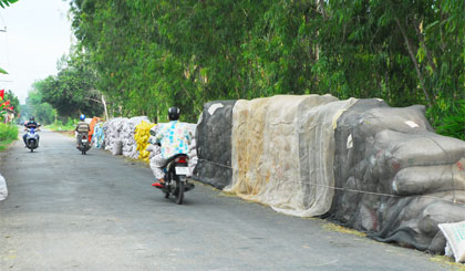 Nông dân tập trung lúa tại xã Phú Nhuận, huyện Cai Lậy để Công ty TNHH Việt Hưng đến thu mua theo hợp đồng đã ký kết.