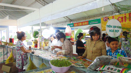 Visitors at seed store