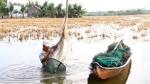 USD310 million to ensure sustainable livelihoods of Mekong Delta farmers