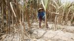 World Bank to loan Vietnam $310 mln for climate resilience