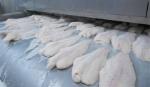 57 nhà máy chế biến cá da trơn đủ điều kiện xuất khẩu vào Mỹ