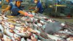 More catfish export companies meet requirements to US