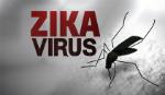 Mỹ thử thành công vắcxin phòng chống virus Zika trên động vật