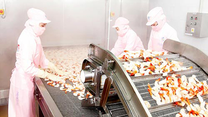 A shrimp processing plant in the Mekong Delta (Photo: SGGP)