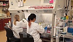 Pháp và Mỹ hợp tác phát triển vắcxin phòng chống virus Zika