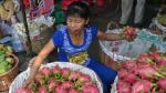 The prices of dragon fruits have drastically fallen