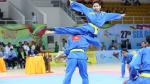 Vovinam absent at 29th SEA Games