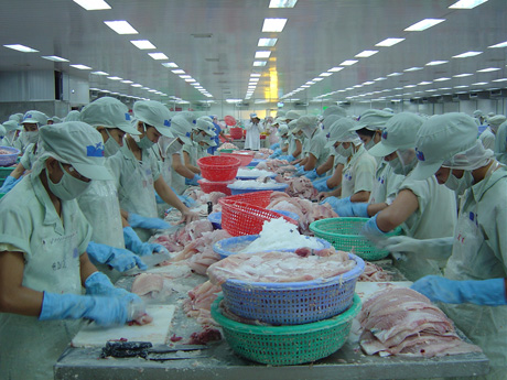 Photo for Illustration (Pho to: Thai Thien).