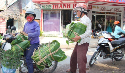 Bỏ mối lá chuối cho các cơ sở sản xuất bánh, làm nem, giò chả…