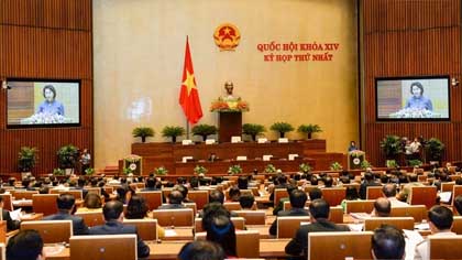 The first plenary session of the 14th National Assembly