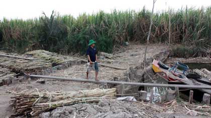 Saltwater intrusion in Kien Giang (Photo: VNA)