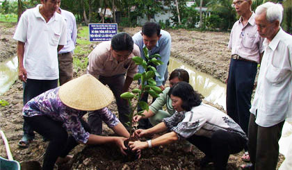 Hướng dẫn nông dân trồng bưởi da xanh.