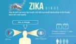 Phú Yên phát hiện bệnh nhân mắc virus Zika