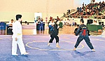 Giám đốc Sở VH-TT&DL: Giải góp phần thúc đẩy phong trào Pencak Silat