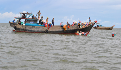 Thu hoạch nghêu ở xã Phú Tân, huyện Tân Phú Đông. 