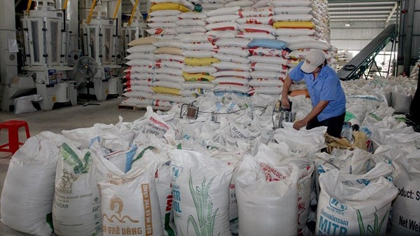 Rice for export (Photo: VNA)