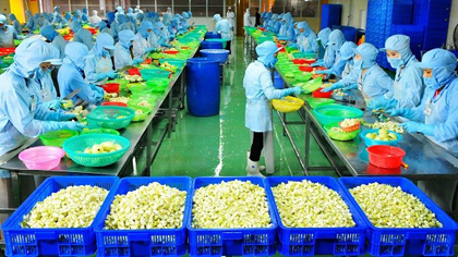 A fruit processing plant (Source: Internet)