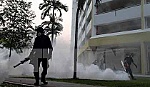 Ít nhất 2,6 tỷ người sống ở các khu vực có nguy cơ nhiễm Zika