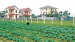 Vietnam strives for half of all communes to meet new-style rural criteria by 2020