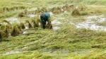 Two dead, five missing in landslide in Nghe An