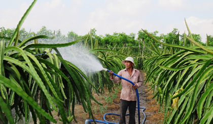 Nhiều CCB xã Phú Kiết được giúp đỡ vốn đã vươn lên làm giàu.