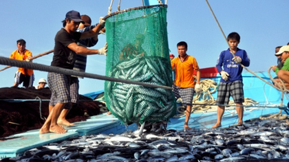 Around 1,300 workers in the Vietnamese fishing sector will have the chance to work in the RoK.