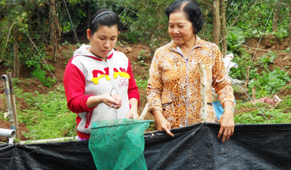 Chị Phạm Thị Hồng Trinh, hội viên Chi hội Phụ nữ ấp Tân An (xã Tân Phong) trao đổi kinh nghiệm nuôi ếch thịt với  cán bộ Hội LHPN.