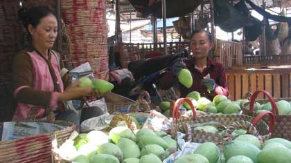 The export value of domestic fruits and vegetables is expected to reach US$2.5 billion this year, surpassing the value of rice exports for the first time. (Photo: Huu Chi)