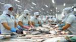 Fish exporters face difficulties in hitting year-end goal