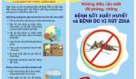 Tổ chức chiến dịch diệt muỗi, lăng quăng, phòng chống Zika