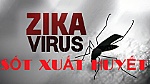 Mekong delta province announces first case of Zika