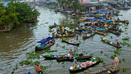 The database is expected to serve climate change adaptation in the Mekong Delta Region.