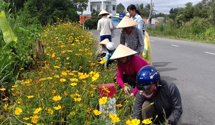 Chi hội Phụ nữ ấp Phú Xuân, xã Phú Mỹ ra quân nhặt rác, dọn cỏ trên Tỉnh lộ 865.