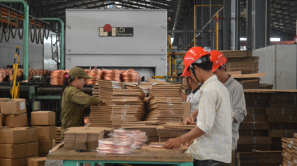 Worker at Dong Vi Luong company in Long Giang industrial Park. Pho to: Huu Cbi