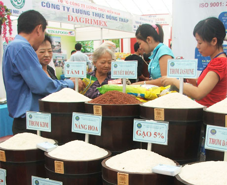 Gạo chất lượng cao đang là hướng đi riêng của các doanh nghiệp xuất khẩu.