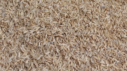 Rice husks can be burned into ash that contains silica, a material with a wide variety of applications.