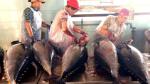 Tuna export shows sign of recovery